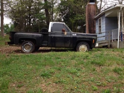 1980 Chevrolet C15 for sale