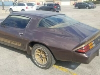 1980 Chevrolet Camaro for sale in Michigan (ID-98315)