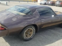 1980 Chevrolet Camaro for sale in Michigan (ID-98315)