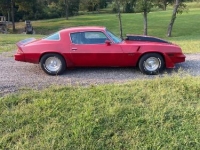 1980 Chevrolet Camaro for sale in Michigan (ID-106385)