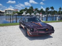 1980 Chevrolet Camaro for sale in Michigan (ID-107032)