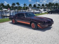 1980 Chevrolet Camaro for sale in Michigan (ID-107032)