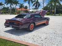 1980 Chevrolet Camaro for sale in Michigan (ID-107032)