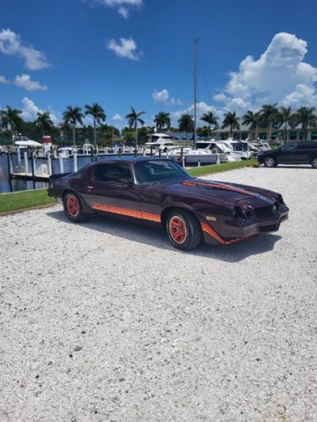 1980 Chevrolet Camaro for sale in Michigan (ID-109813)