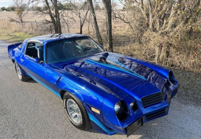 1980 Chevrolet Camaro for sale in Michigan (ID-110546)