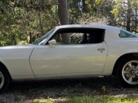 1980 Chevrolet Camaro for sale in Michigan (ID-123241)