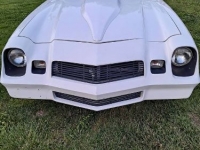 1980 Chevrolet Camaro for sale in Michigan (ID-124042)