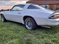 1980 Chevrolet Camaro for sale in Michigan (ID-124042)