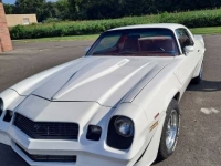 1980 Chevrolet Camaro for sale in Michigan (ID-124042)