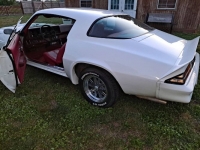 1980 Chevrolet Camaro for sale in Michigan (ID-124042)