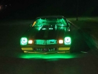 1980 Chevrolet Camaro for sale in Riverhead, New York (ID-124703)