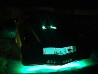 1980 Chevrolet Camaro for sale in Riverhead, New York (ID-124703)