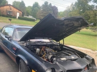 1980 Chevrolet Camaro for sale in Michigan (ID-131286)
