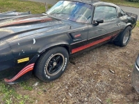 1980 Chevrolet Camaro for sale in Michigan (ID-131286)