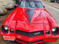 1980 Chevrolet Camaro for sale in Michigan (ID-133229)