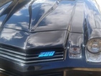 1980 Chevrolet Camaro for sale in Michigan (ID-137123)
