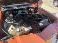 1980 Chevrolet Camaro for sale in Michigan (ID-141416)