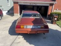 1980 Chevrolet Camaro for sale in Michigan (ID-141416)