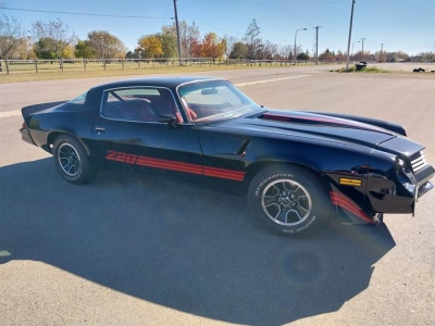 1980 Chevrolet Camaro for sale