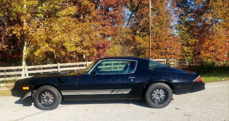 1980 Chevrolet Camaro for sale in Michigan (ID-146349)