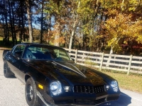 1980 Chevrolet Camaro for sale in Michigan (ID-146349)