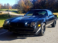1980 Chevrolet Camaro for sale in Michigan (ID-146349)