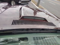 1980 Chevrolet Camaro for sale in Riverhead, New York (ID-146545)