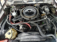 1980 Chevrolet Camaro for sale in Riverhead, New York (ID-146545)