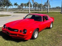 1980 Chevrolet Camaro for sale in Michigan (ID-155895)