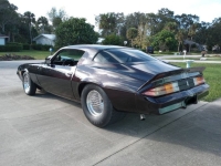 1980 Chevrolet Camaro for sale in Michigan (ID-161513)