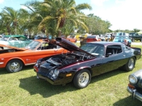 1980 Chevrolet Camaro for sale in Michigan (ID-161513)