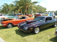 1980 Chevrolet Camaro for sale in Michigan (ID-161513)