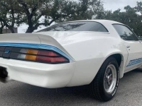 1980 Chevrolet Camaro for sale in Michigan (ID-162531)