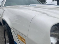 1980 Chevrolet Camaro for sale in Michigan (ID-162531)