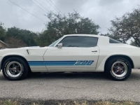 1980 Chevrolet Camaro for sale in Michigan (ID-162531)