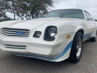 1980 Chevrolet Camaro for sale in Michigan (ID-162531)