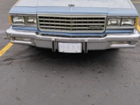 1980 Chevrolet Caprice for sale in Michigan (ID-133661)