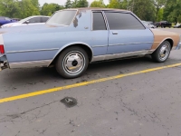 1980 Chevrolet Caprice for sale in Michigan (ID-133661)
