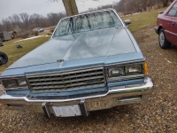 1980 Chevrolet Caprice Classic for sale in Michigan (ID-123081)