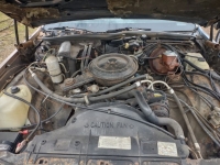 1980 Chevrolet Caprice Classic for sale in Michigan (ID-123081)