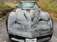 1980 Chevrolet Corvette for sale in Michigan (ID-94497)