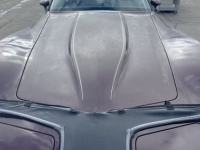1980 Chevrolet Corvette for sale in Michigan (ID-96735)