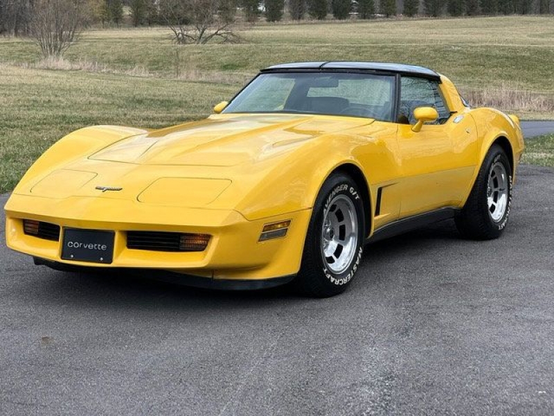 1980 Chevrolet Corvette for sale in Riverhead, New York (ID-96986)