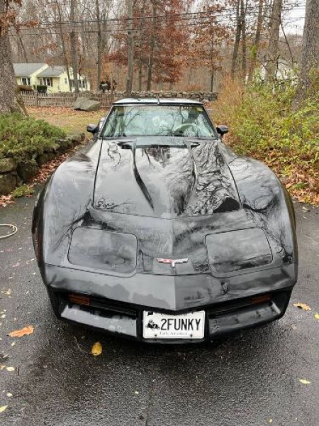 1980 Chevrolet Corvette for sale in Michigan (ID-97267)
