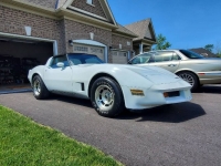 1980 Chevrolet Corvette for sale in Michigan (ID-101521)