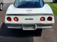1980 Chevrolet Corvette for sale in Michigan (ID-101521)