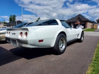 1980 Chevrolet Corvette for sale in Michigan (ID-101521)