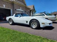 1980 Chevrolet Corvette for sale in Michigan (ID-101521)