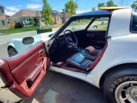 1980 Chevrolet Corvette for sale in Michigan (ID-101521)