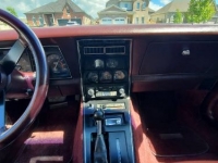 1980 Chevrolet Corvette for sale in Michigan (ID-101521)